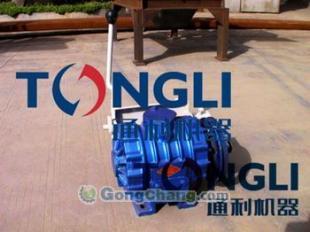 新疆沼氣真空泵生產(chǎn)線與生產(chǎn)基地解析 賦能綠色能源與安全生產(chǎn)